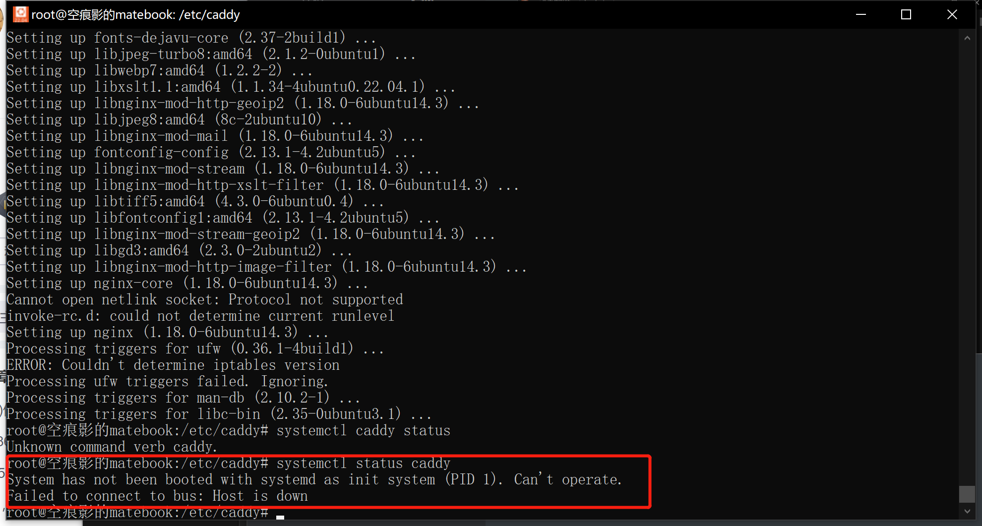 image-20230326135957820