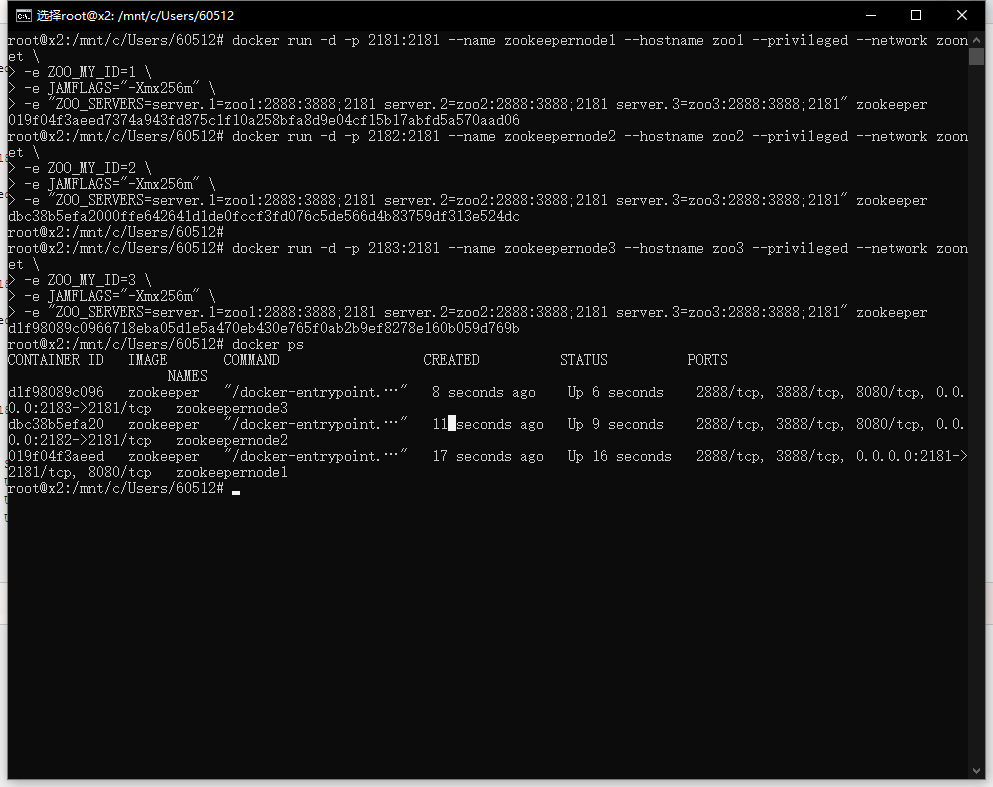 创建zookeeper集群容器